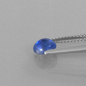 0,91 ctw natürlicher blauer Disthen, Transparent, Transparent / Lichtdurchlässig