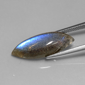 9,17 ctw natürlicher Mehrfarbig Labradorit, Marquise, Lichtdurchlässig