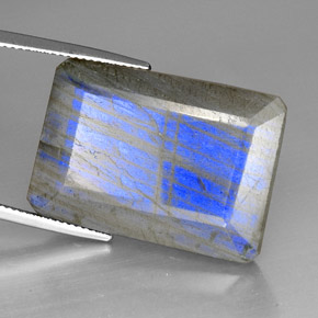 9,17 ctw natürlicher Mehrfarbig Labradorit, Transparent, Transparent / Lichtdurchlässig