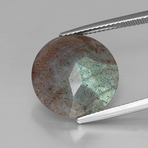 9,17 ctw natürlicher Mehrfarbig Labradorit, Rund Schliff, Lichtundurchlässig