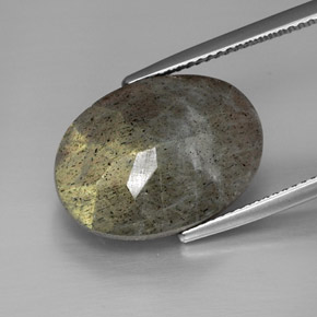 13,58 ctw natürlicher mehrfarbiger Labradorit, Oval Schliff, Lichtundurchlässig
