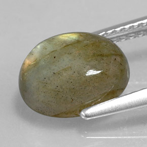 3,59 ctw natürlicher mehrfarbiger Labradorit, Oval Schliff, Lichtundurchlässig