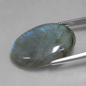 20,80 ctw natürlicher mehrfarbiger Labradorit, Oval Schliff, Lichtdurchlässig