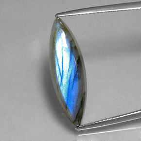 8,91 ctw natürlicher mehrfarbiger Labradorit, Marquise, Lichtdurchlässig