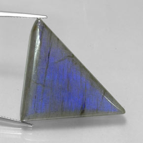 9,17 ctw natürlicher Mehrfarbig Labradorit, Trillion, Lichtdurchlässig