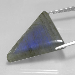 9,17 ctw natürlicher Mehrfarbig Labradorit, Trillion, Lichtdurchlässig