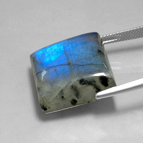 9,17 ctw natürlicher Mehrfarbig Labradorit, Quadrat, Lichtdurchlässig