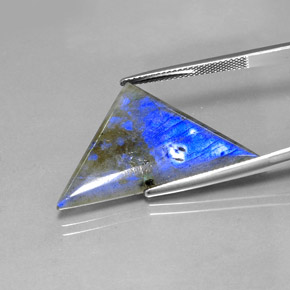 9,17 ctw natürlicher Mehrfarbig Labradorit, Trillion, Lichtdurchlässig