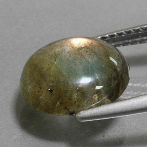 9,17 ctw natürlicher Mehrfarbig Labradorit, Oval Schliff, Lichtdurchlässig