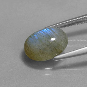 2,62 ctw natürlicher mehrfarbiger Labradorit, Oval Schliff, Lichtdurchlässig