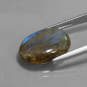 6,83 ctw natürlicher mehrfarbiger Labradorit, Oval Schliff, Lichtdurchlässig
