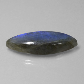 18,92 ctw natürlicher blauer Labradorit, Marquise, Transparent