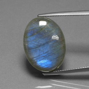 16,93 ctw natürlicher blauer Labradorit, Oval Schliff, Lichtdurchlässig