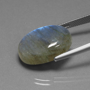 16,93 ctw natürlicher blauer Labradorit, Oval Schliff, Lichtdurchlässig