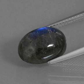 5,60 ctw natürlicher blauer Labradorit, Oval Schliff, Lichtdurchlässig