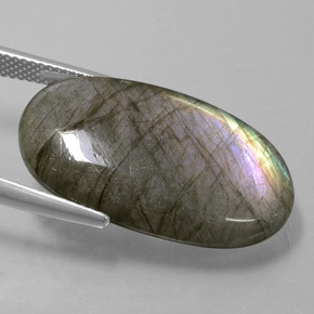 9,17 ctw natürlicher grau-blau-schimmernd Labradorit, Oval Schliff, Lichtdurchlässig