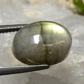 8,48 ctw natürlicher mehrfarbiger Labradorit, Oval Schliff, Lichtdurchlässig