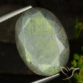 9,17 ctw natürlicher Mehrfarbig Labradorit, Oval, Lichtdurchlässig