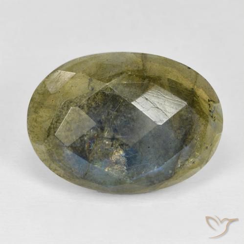 16.89ct Natürlicher Mehrfarbig Labradorit, Oval, Lichtundurchlässig