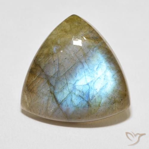 13.86ct Natürlicher Mehrfarbig Labradorit, Trillion, Lichtdurchlässig