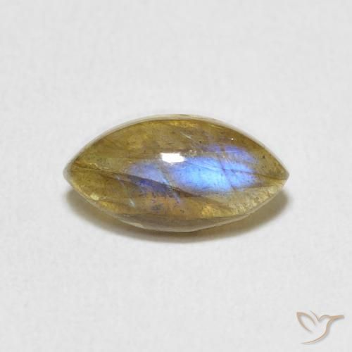 1.44ct Natürlicher Mehrfarbig Labradorit, Marquise, Lichtdurchlässig