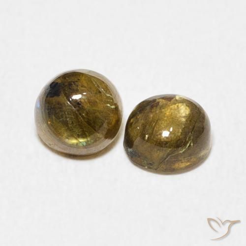 1.37 ct natürliche Mehrfarbig Labradorit-Edelsteine, Runden, Lichtdurchlässig
