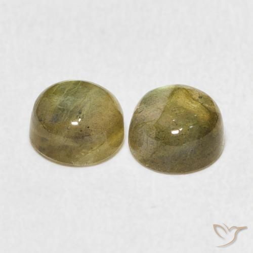 2.50 ct natürliche Mehrfarbig Labradorit-Edelsteine, Runden, Lichtdurchlässig
