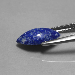 1,60 ctw natürlicher blauer Lapislazuli, Marquise, Lichtundurchlässig