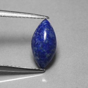 1,54 ctw natürlicher blauer Lapislazuli, Marquise, Lichtundurchlässig