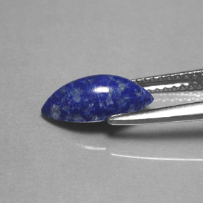 1,54 ctw natürlicher blauer Lapislazuli, Marquise, Lichtundurchlässig