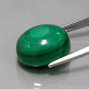 15,46 ctw natürlicher grüner Malachit, Oval Schliff, Lichtundurchlässig