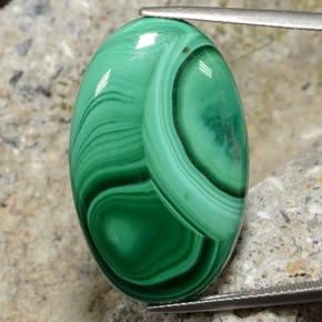 34,94 ctw natürlicher grüner Malachit, Oval Schliff, Lichtundurchlässig