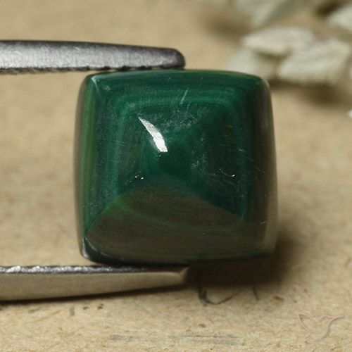 6.82ct Natürlicher Kieferngrün Malachit, Quadrat, Lichtundurchlässig