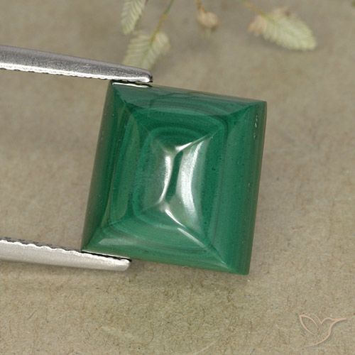 9.52ct Natürlicher Grün Malachit, Quadrat, Lichtundurchlässig