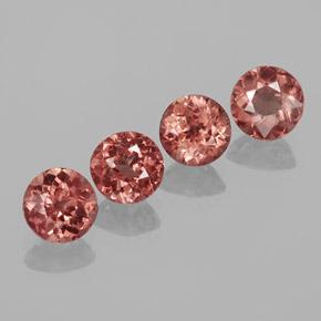 3.03 ct natürliche rötlich-rosa Malaya-Granat-Edelsteine, Rund Schliff, VS