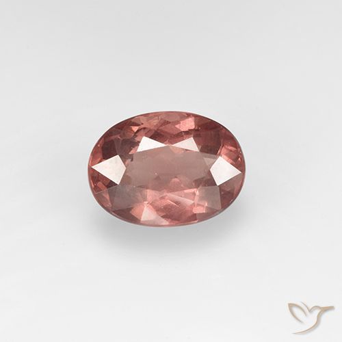 1.65ct Natürlicher Helles Ziegelrot Malaya-Granat, Oval, VS, Photo A