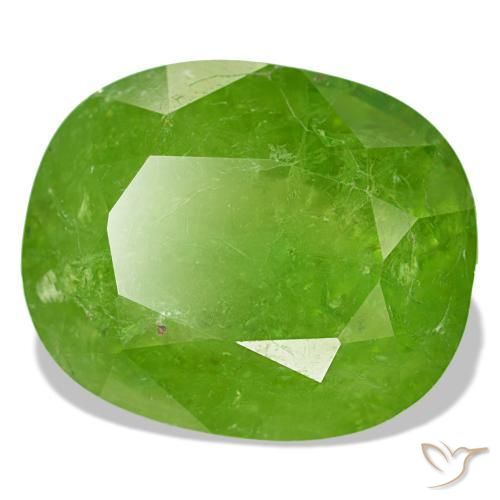 24,80 ctw natürlicher grüner Mali-Granat, Kissenschliff, SI-I1