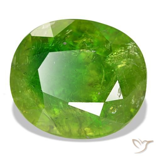 15,40 ctw natürlicher grüner Mali-Granat, Oval Schliff, SI-I1