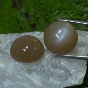 33,03 ct natürliche brauner Mondstein-Edelsteine, Rundschliff, Lichtdurchlässig