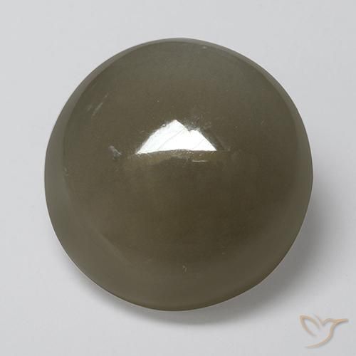 16.89ct Natürlicher Grau braun Mondstein, Runden, Lichtdurchlässig