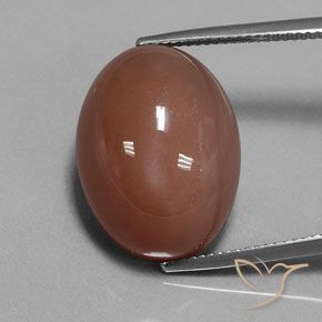 23.67ct Natürlicher Mittel braun Mondstein, Oval, Lichtundurchlässig