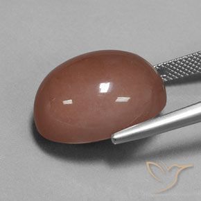 9,17 ctw natürlicher Mittel braun Mondstein, Oval, Lichtundurchlässig