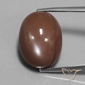 23.52ct Natürlicher Tiefes warmes Braun Mondstein, Oval, Lichtundurchlässig