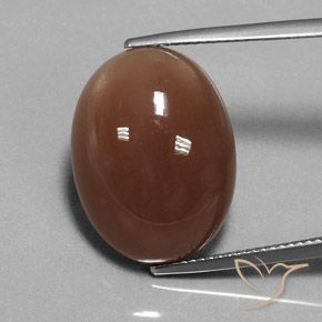 16.52ct Natürlicher Mittel braun Mondstein, Oval, Lichtdurchlässig