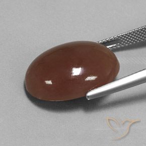 9,17 ctw natürlicher Mittel braun Mondstein, Oval, Lichtdurchlässig