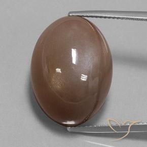 36.79ct Natürlicher Espresso Braun Mondstein, Oval, Lichtundurchlässig