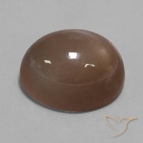 9,17 ctw natürlicher Espresso Braun Mondstein, Oval, Lichtundurchlässig
