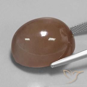 9,17 ctw natürlicher Espresso Braun Mondstein, Oval, Lichtundurchlässig