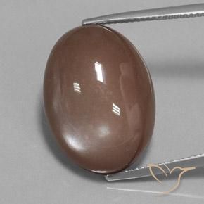 22.65ct Natürlicher Mittel braun Mondstein, Oval, Lichtundurchlässig