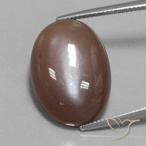 22.15ct Natürlicher Espresso Braun Mondstein, Oval, Lichtundurchlässig
